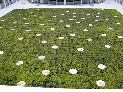 ベルリン-b-0001 (125).jpg